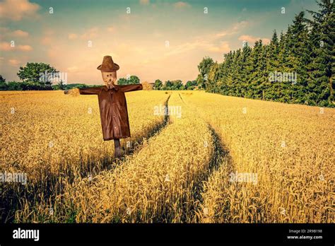 Scarecrow Fields .